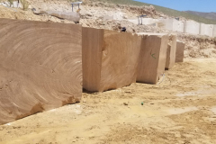 WhatsApp-Image-2024-08-03-at-12.59.41-PM