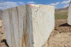 WhatsApp-Image-2024-08-03-at-12.59.45-PM-2